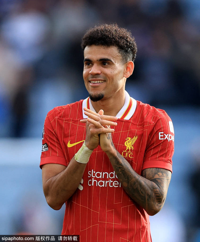 的完美结合 的完美结合